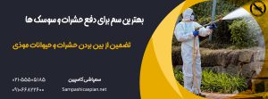 مردی در حال سمپاشی باغچه