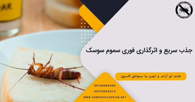 جذب سریع و اثرگذاری فوری سموم سوسک