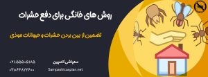 یک دست که جلوی ورود حشرات به خانه را گرفته است