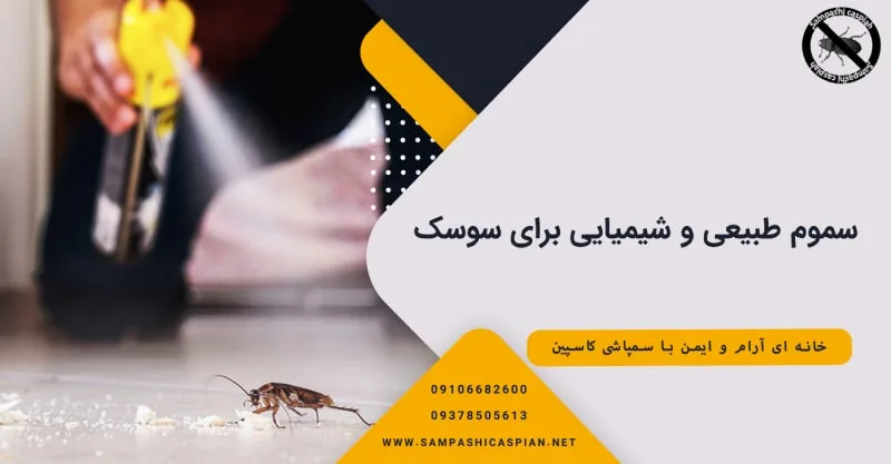 سموم طبیعی و شیمیایی برای سوسک