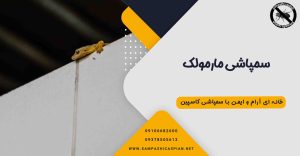 یک مارمولک بر روی دیوار