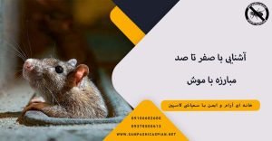 آموزش سمپاشی موش