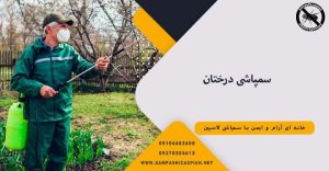 مردی در حال پاشیدن سم به درختان