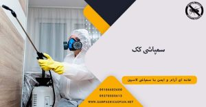 مردی در حال پاشیدن سموم به دیوارهای خانه