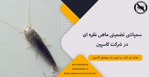 ماهی نقره ای