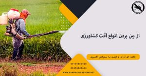 از بین بردن انواع آفت کشاورزی با سمپاشی