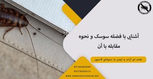 آشنایی با فضله سوسک و نحوه مقابله با آن- سمپاشی کاسپین