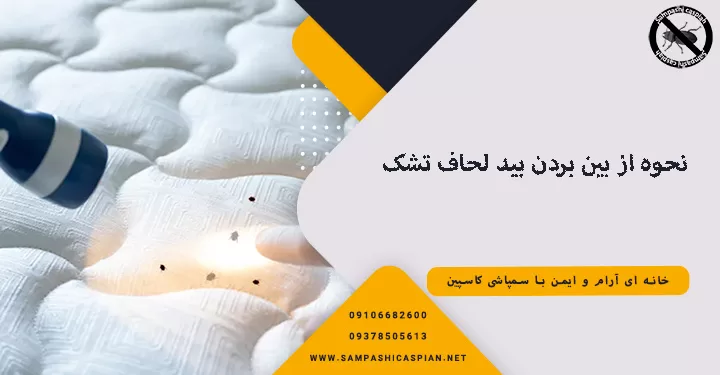 نحوه از بین بردن بید لحاف تشک