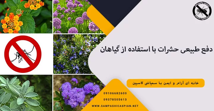 دفع طبیعی حشرات با استفاده از گیاهان