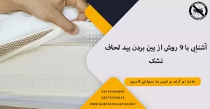 بید لحاف تشک چیست؟