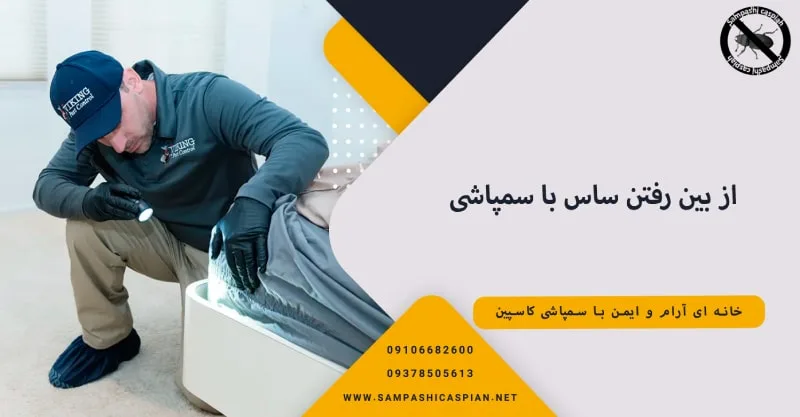 سمپاشی برای از بین بردن ساس