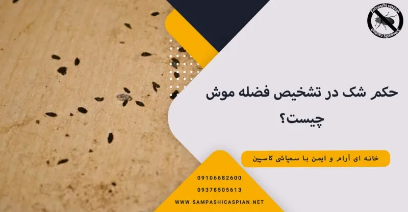حکم شک در تشخیص فضله موش چیست؟