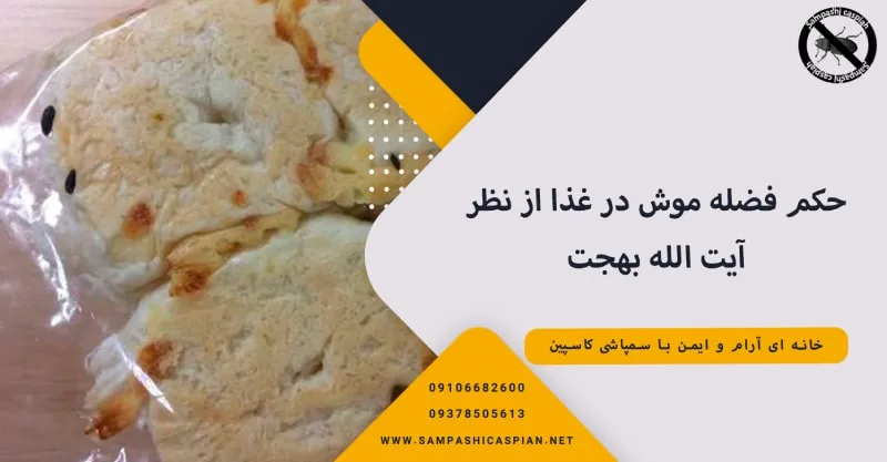 حکم فضله موش در غذا از نظر آیت الله بهجت