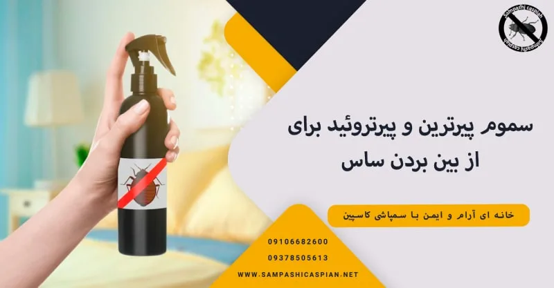 سموم پیرترین و پیرتروئید؛ بهترین نوع سم برای از بین بردن ساس