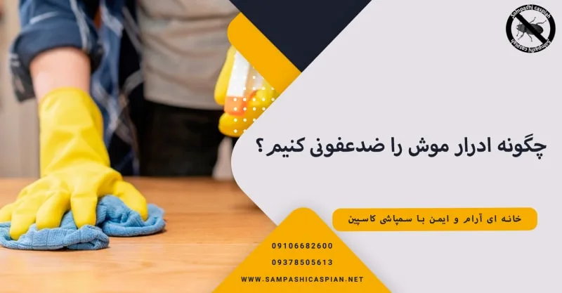 چگونه ادرار موش را ضدعفونی کنیم؟